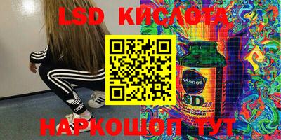 ПСИЛОЦИБИНОВЫЕ ГРИБЫ Кингисепп