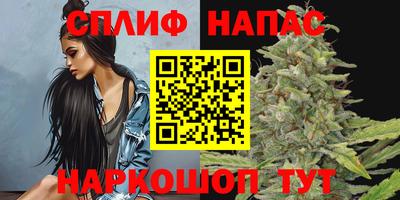 ПСИЛОЦИБИНОВЫЕ ГРИБЫ Кингисепп
