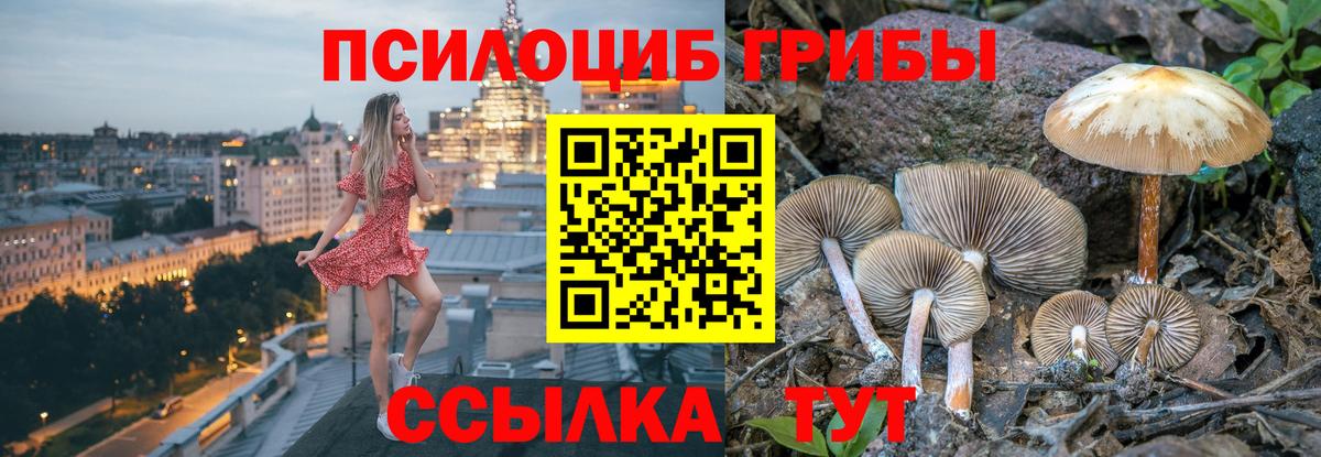 Псилоцибиновые грибы прущие грибы  Вход с VPN  Псилоцибиновые грибы Psilocybine cubensis  Красноармейск 